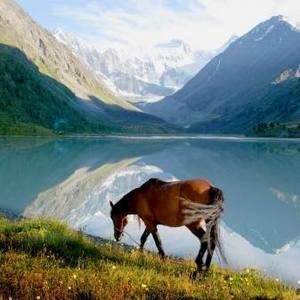 Meet your Posher, Randall